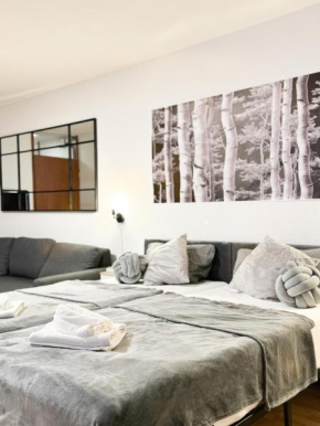 modern living in Karlsruhe - frieden apartments
